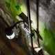 Illustration for article titled In An Artificial Cave 200 Beneath Central Park with Michael Bloomberg